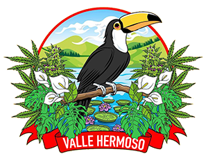 logo_valle_hermoso